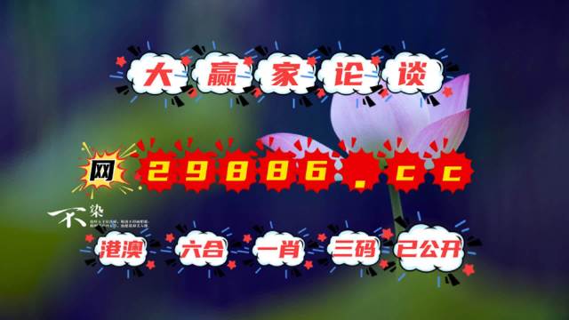 精选王中王三肖一码，揭秘背后的秘密与策略，揭秘王中王三肖一码，背后的秘密与策略揭秘
