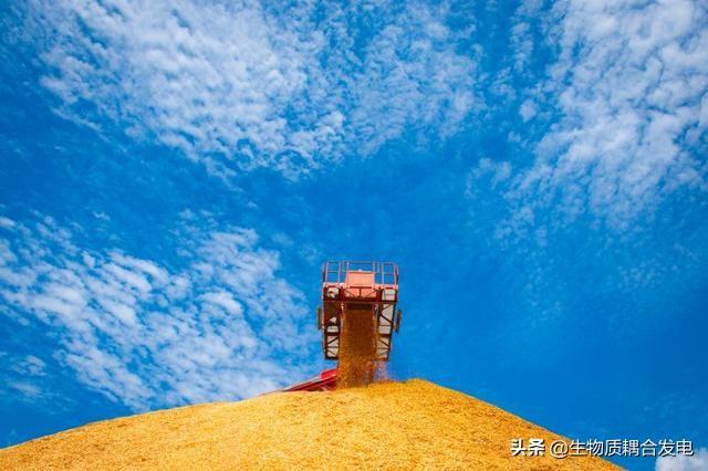 迈向未来的资料宝库,2025全年资料免费大全,迈向未来的资料宝库,2025全年资料免费大全概览