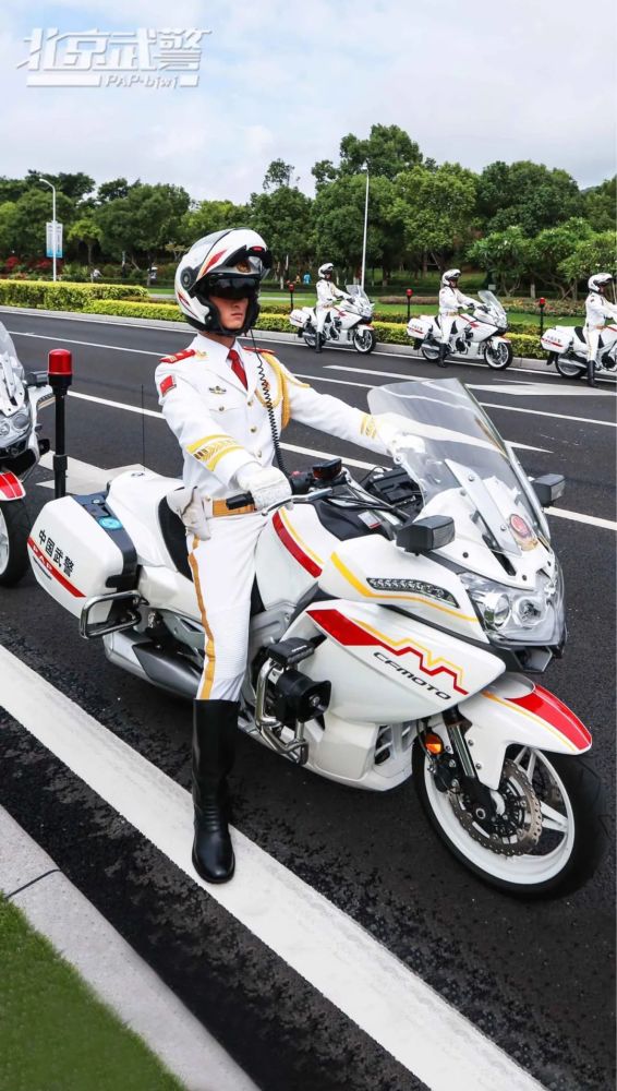 国宾护卫队帅哥,荣耀与责任并存,国宾护卫队帅哥,荣耀与责任的交织