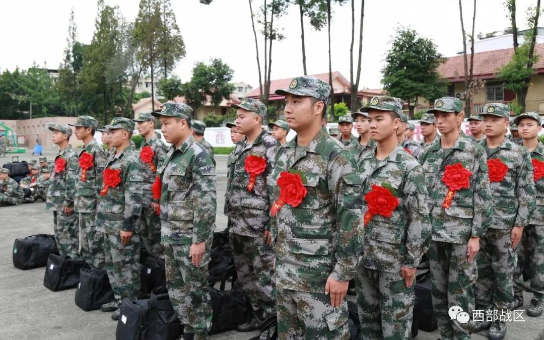 关于西藏武警老兵打新兵现象的深度探讨，西藏武警老兵打新兵现象的深度剖析与探讨