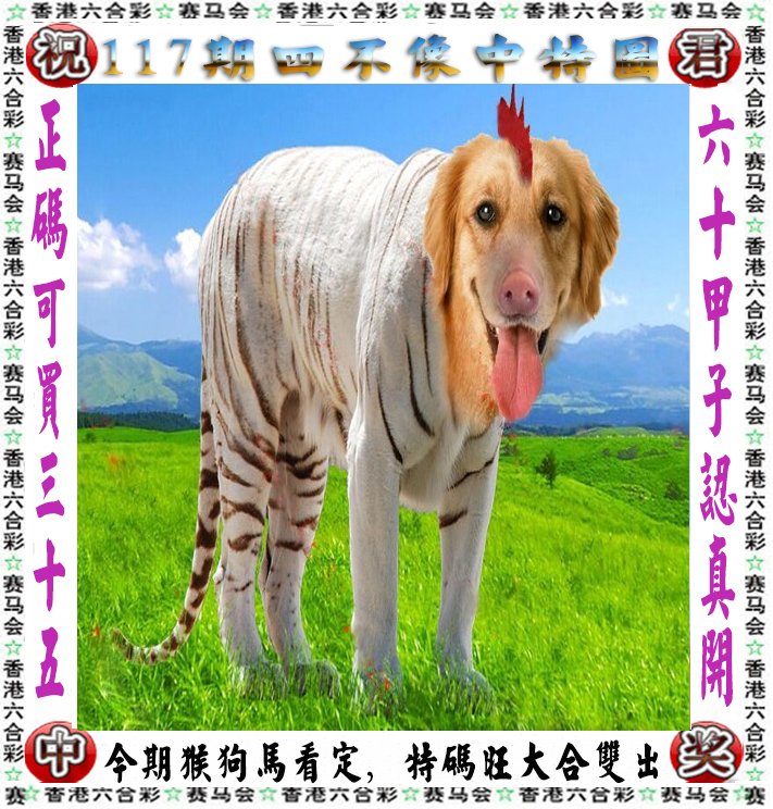 揭秘彩票背后的秘密，王中王四不像出一肖的奥秘与启示，揭秘彩票背后的秘密，王中王四不像出一肖背后的奥秘与启示探索