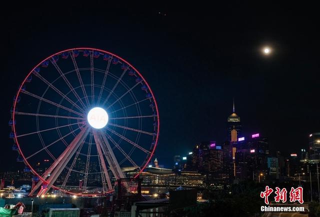香港蓝月亮马会资料大全，历史、文化与体育盛宴的完美结合，香港蓝月亮马会资料大全，历史、文化与体育的璀璨融合