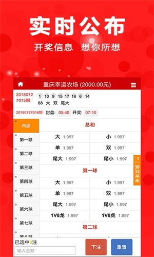 王中王肖一码期期中，探索彩票奥秘与数字魅力，王中王肖一码期期中，揭秘彩票数字奥秘与魅力