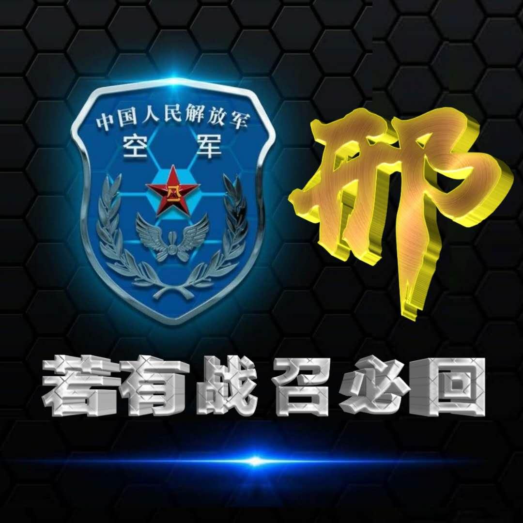 空军图片头像，展现力量与荣耀的象征，空军图片头像，力量与荣耀的象征展现风采