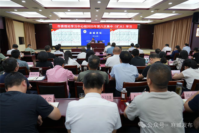麻城最新新闻消息全面报道，麻城最新新闻全面报道速递