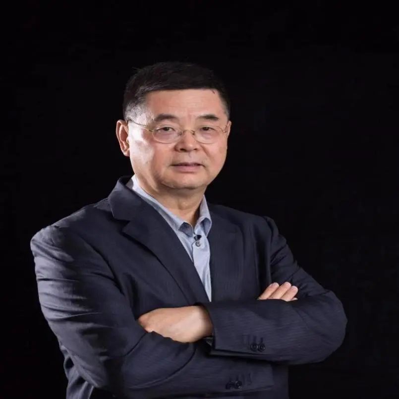 中国国际战略学者，探索与洞察，中国国际战略学者的探索与洞察之旅