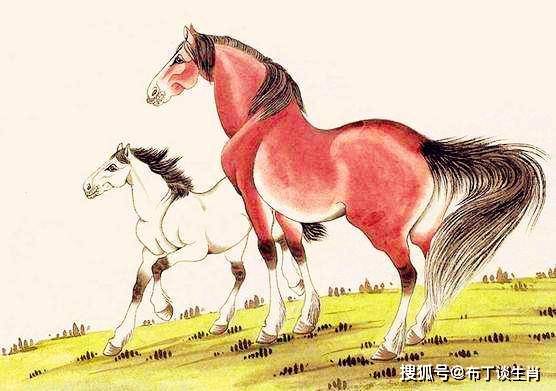 买马打一生肖王中王，探寻生肖马背后的文化象征与深层含义，生肖马，文化象征与深层含义探寻
