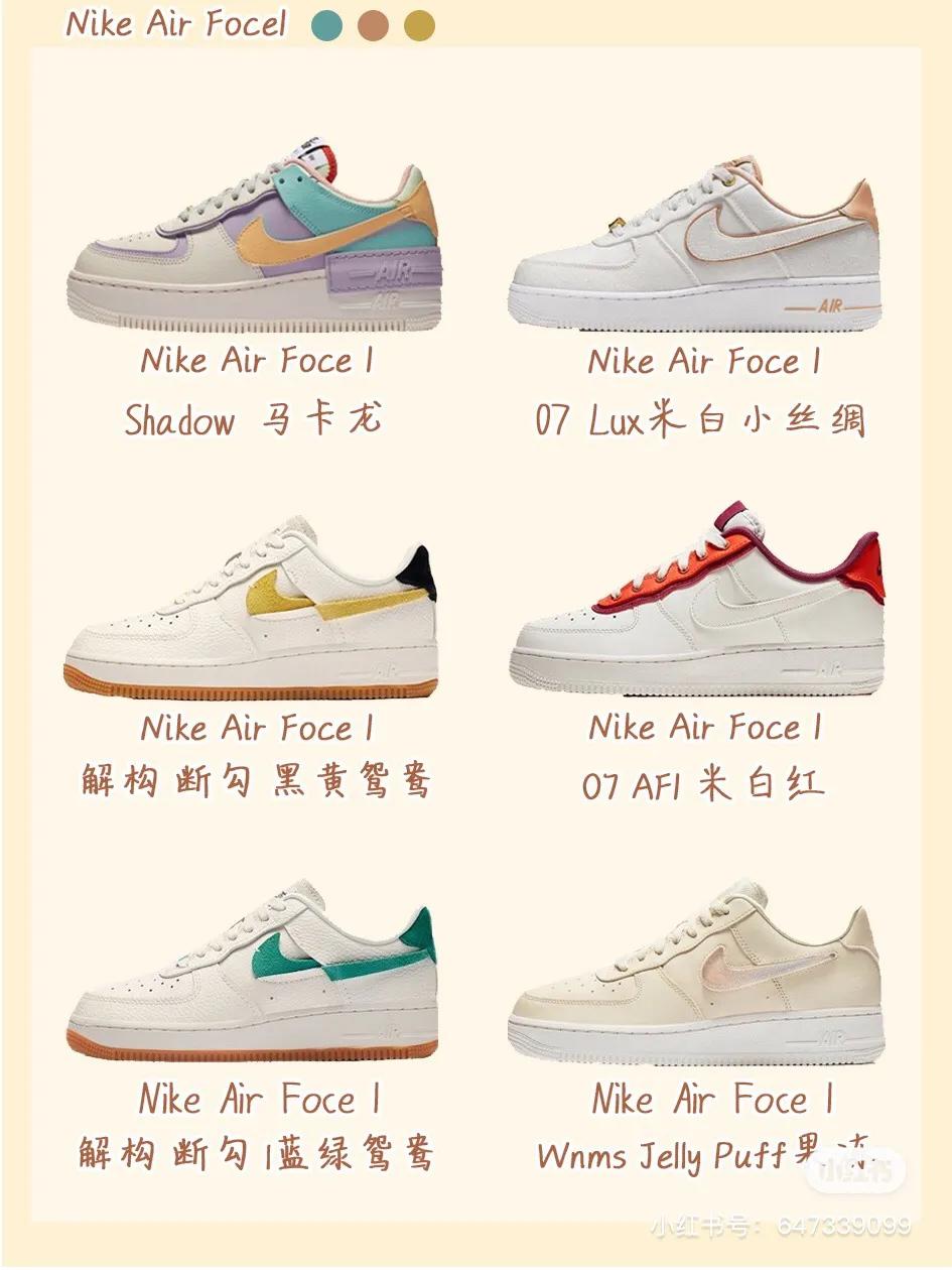 真相与反思