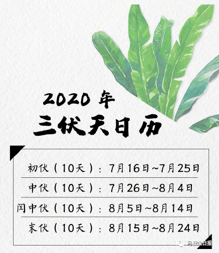 今天是末伏第一天——探寻中国传统节气中的特殊时刻，末伏首日探寻中国传统节气特殊时刻