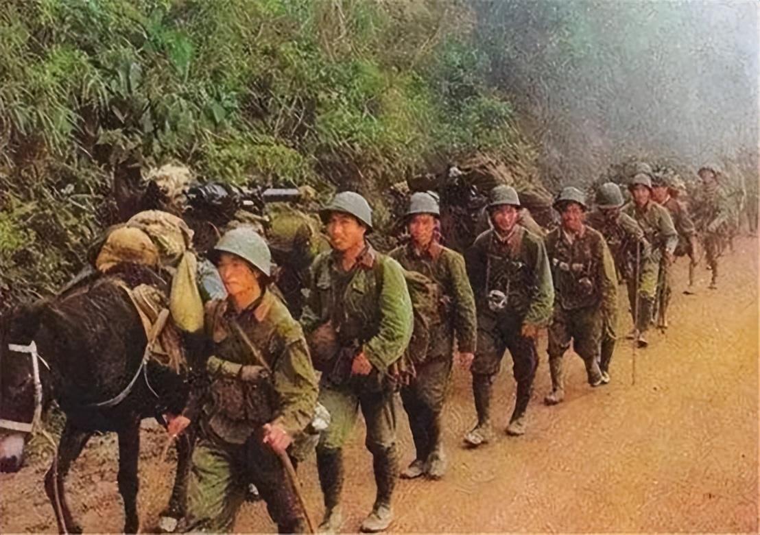 军帽的种类及其特点，军帽种类介绍与特点解析