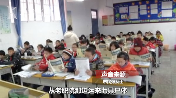中心小学死人案件，探究背后的真相与反思教育安全，中心小学死人案件背后的真相与教育安全反思
