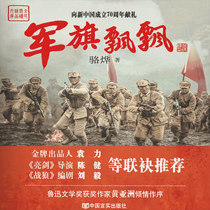 腾讯天天军旗等级分数，探究其背后的策略与挑战，腾讯天天军旗等级分数背后的策略与挑战探究