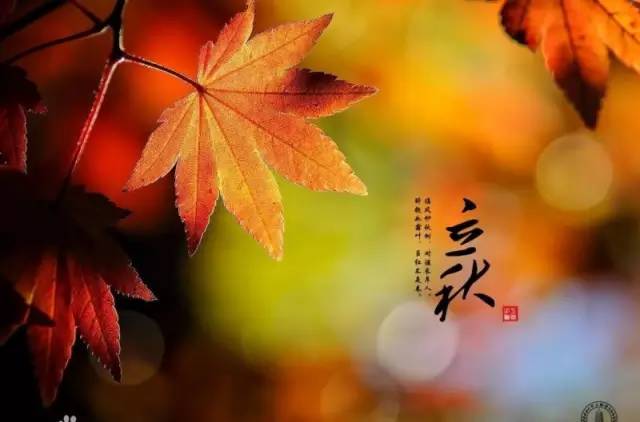 立秋时刻，探寻秋天的脚步——2022年立秋时间解析，2022年立秋时刻的脚步，探寻秋天的来临与解析立秋时间