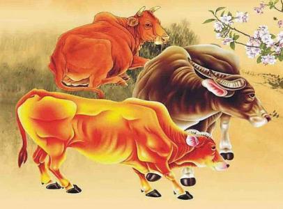 世界新闻自由日与生肖的奇妙交织，世界新闻自由日与生肖的奇幻交融