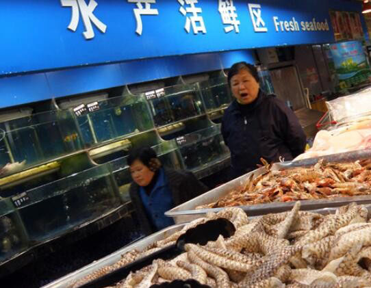 华南海鲜市场女老板的老公，背后的故事与坚韧的力量，华南海鲜市场女老板背后的故事，坚韧力量与丈夫的支持