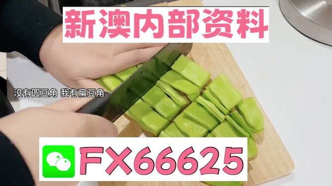 新澳精准资料免费提供的价值与影响力，新澳精准资料免费提供的价值及其影响力