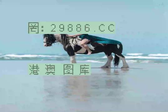 揭秘新澳一肖一码背后的秘密，揭秘新澳一肖一码真相大揭秘