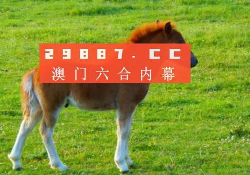 新澳门一肖一码，探索与解读，新澳门一肖一码，解读与探索之旅