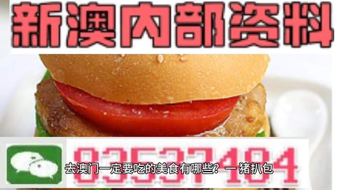 新门内部精准资料免费，探索与揭秘，新门内部精准资料大揭秘，免费探索与揭秘