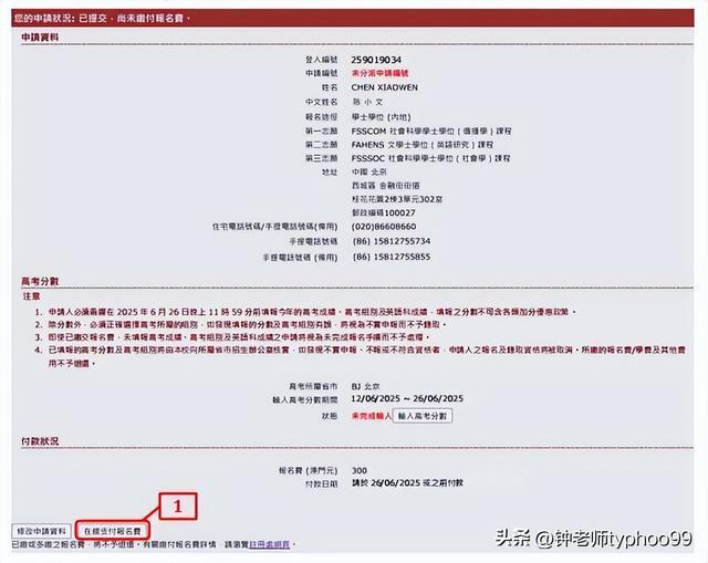 澳门资料大全正版资料查询2025年，深度探索与前瞻，澳门资料大全正版深度探索与前瞻，2025年展望