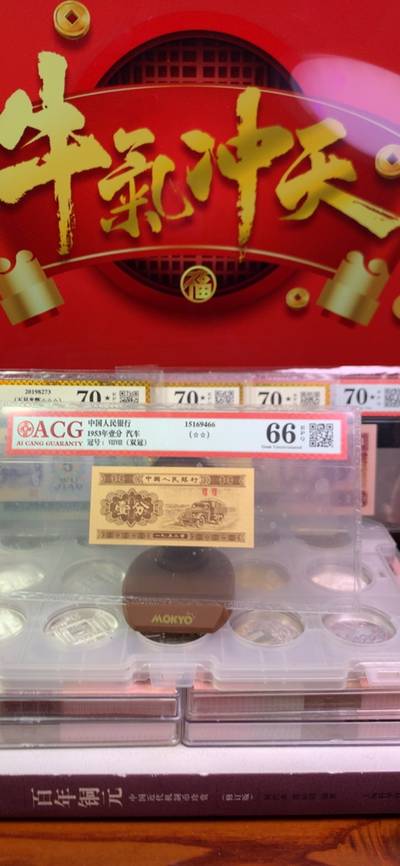 王中王资柈一肖，探寻背后的故事与意义，王中王资柈一肖，背后的故事与意义探寻