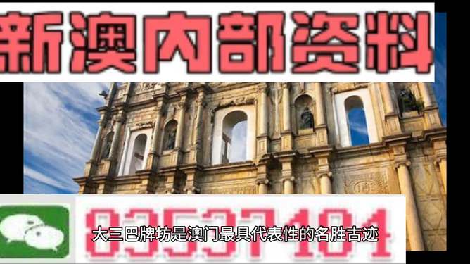 探索未来，2025新奥精准正版资料的深度解析，深度解析，探索未来与2025新奥精准正版资料
