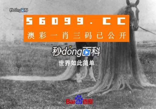 澳门一肖一码一必中一肖舟山