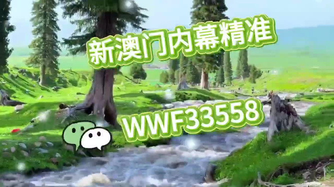 王中王一肖一马，探索免费中特的新境界，王中王一肖一马，开启免费中特新境界探索之旅