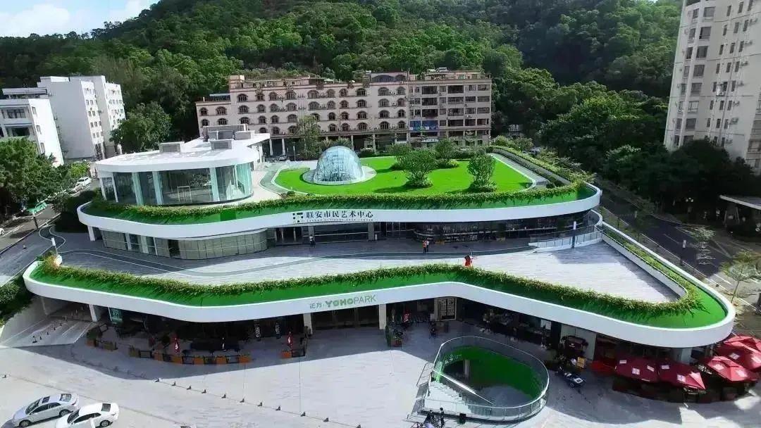 澳门118最快开奖结果，探索彩票背后的魅力与期待，澳门彩票开奖背后的魅力与期待，探索最新开奖结果