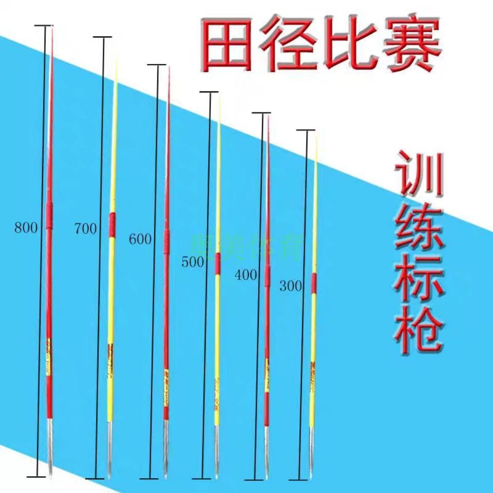 红旗-12与标枪，两种防空系统的深度对比，红旗-12与标枪防空系统深度对比分析
