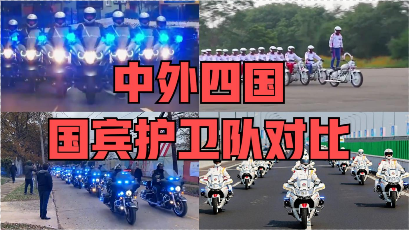 美国国宾护卫队人数及其影响力，美国国宾护卫队人数与影响力解析