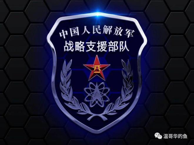 战略支援部队与陆军，究竟谁更胜一筹？，战略支援部队与陆军，究竟谁更胜一筹？对比解析