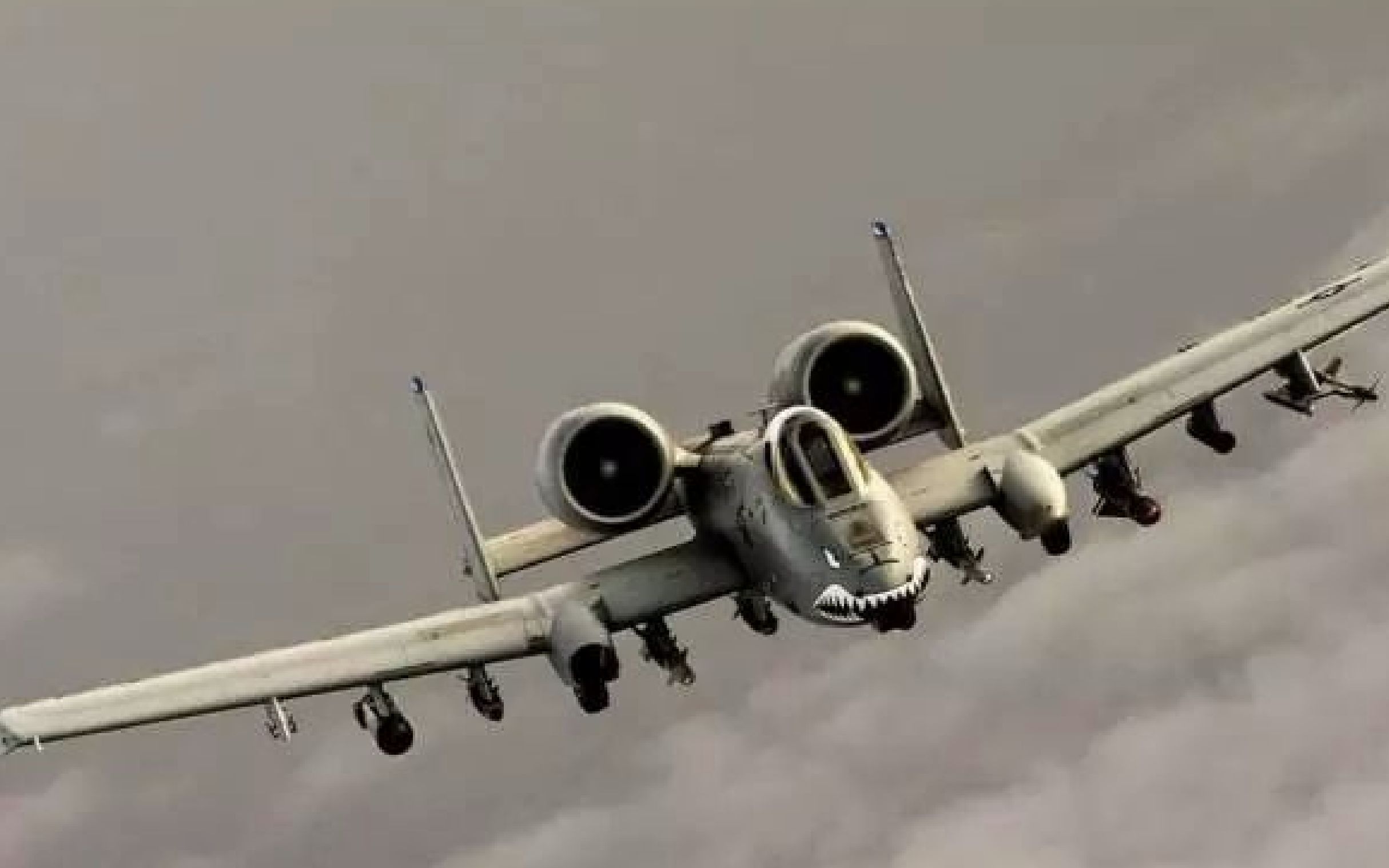 揭秘A-10攻击机的名字,疣猪还是雷电?,揭秘疣猪A-10攻击机的名字背后的故事