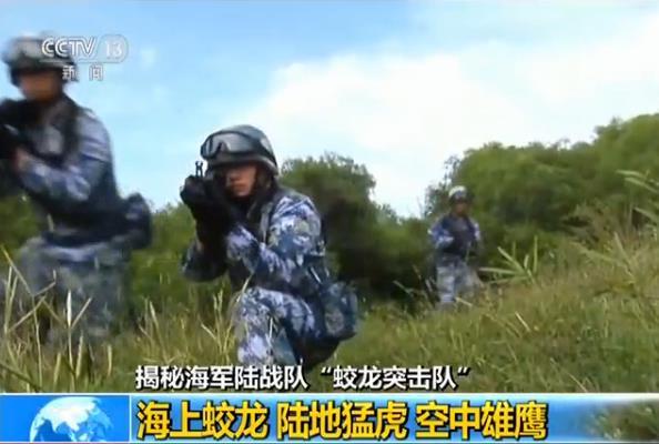 蛟龙突击队，深入解析一支特种部队的灵魂与力量，蛟龙突击队，特种部队之魂与力量深度解析