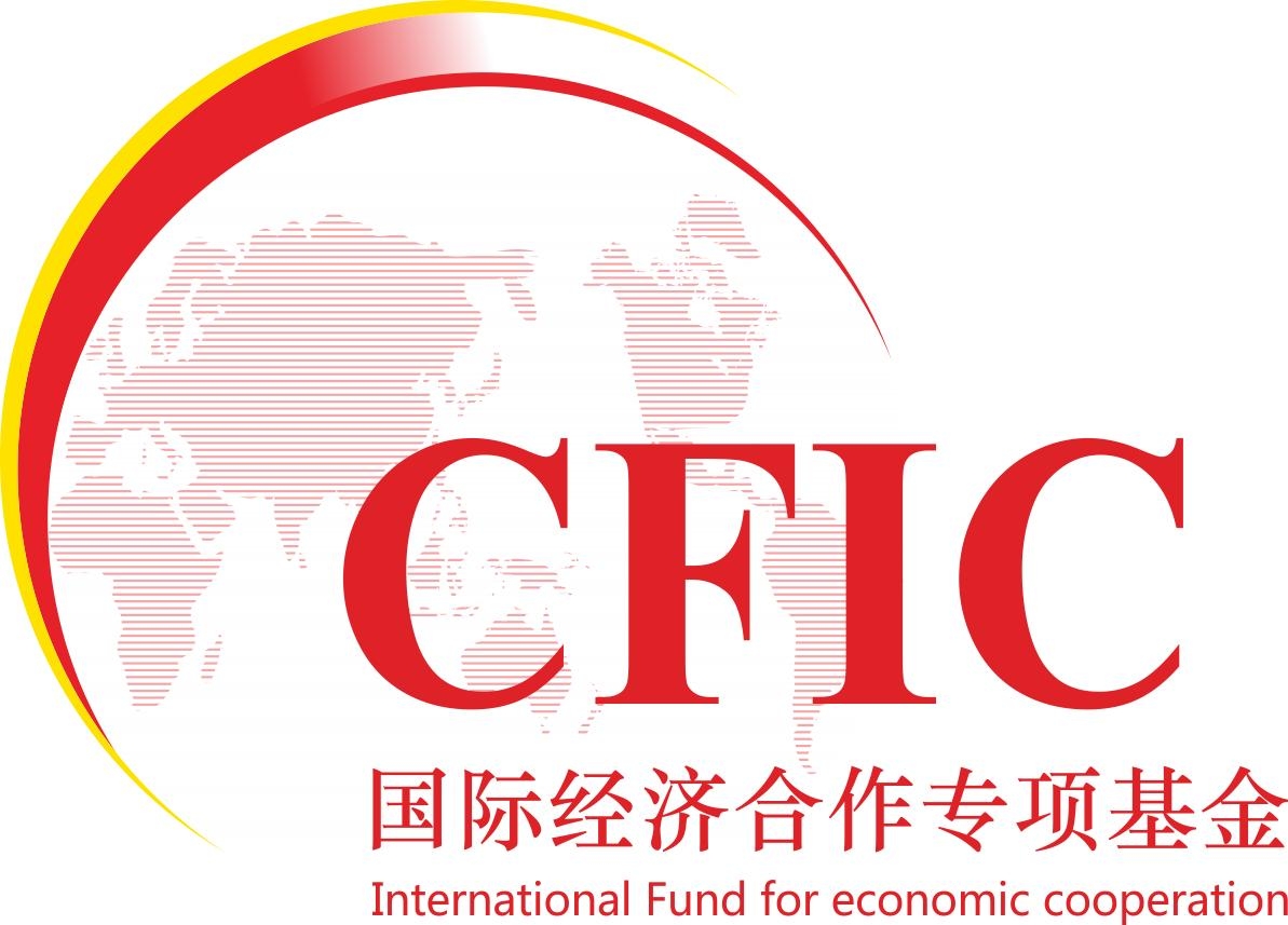 中国国际战略研究基金会官网，探索中国对外战略的重要平台，中国国际战略研究基金会官网，探索中国对外战略的核心平台