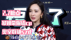 探索白姐王中王一肖网站，揭秘其背后的故事与魅力，揭秘白姐王中王一肖网站背后的故事与独特魅力