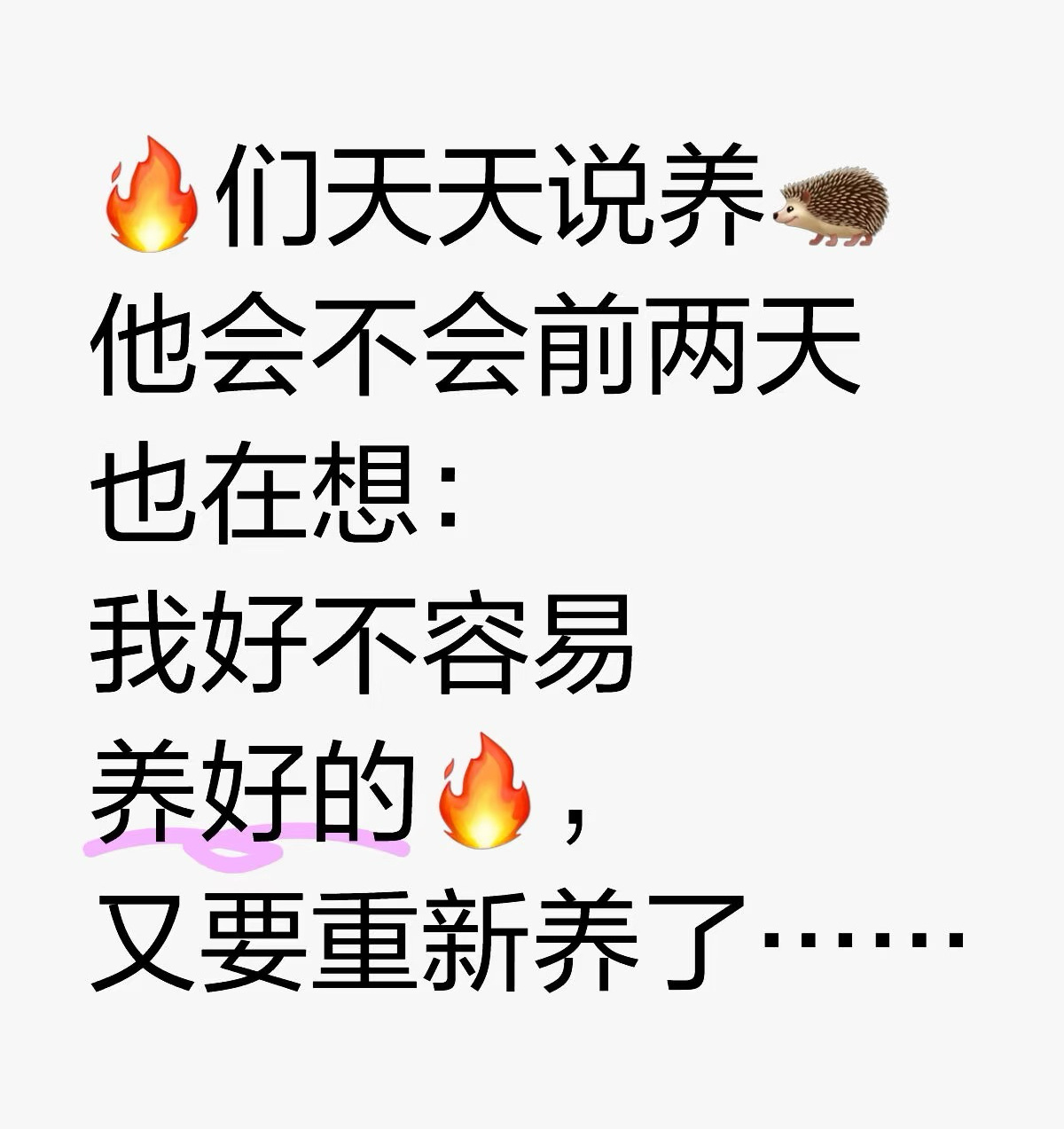 今天是什么意思——时间的流转与人生的舞台，时间的流转与人生的舞台，今日之意义探寻