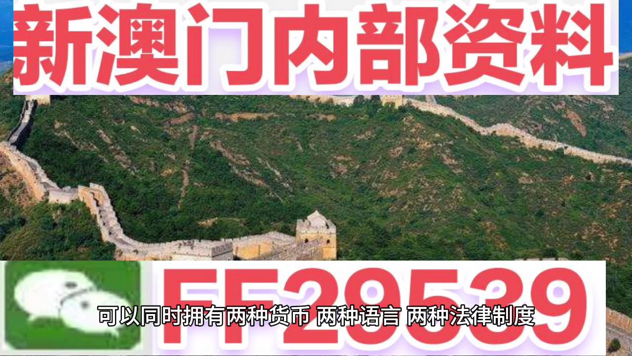 澳门4949最快开奖直播今天，探索与体验，澳门4949最快开奖直播，今日探索与体验之旅
