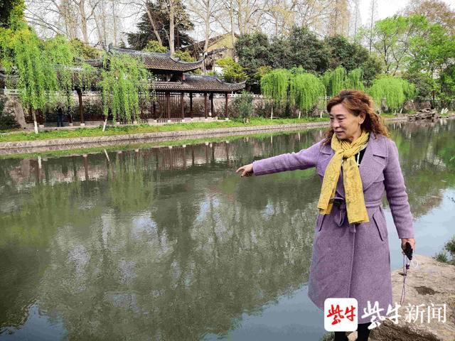 大雨中的三军仪仗队，荣耀与坚韧的象征，雨中的荣耀与坚韧，三军仪仗队展现风采