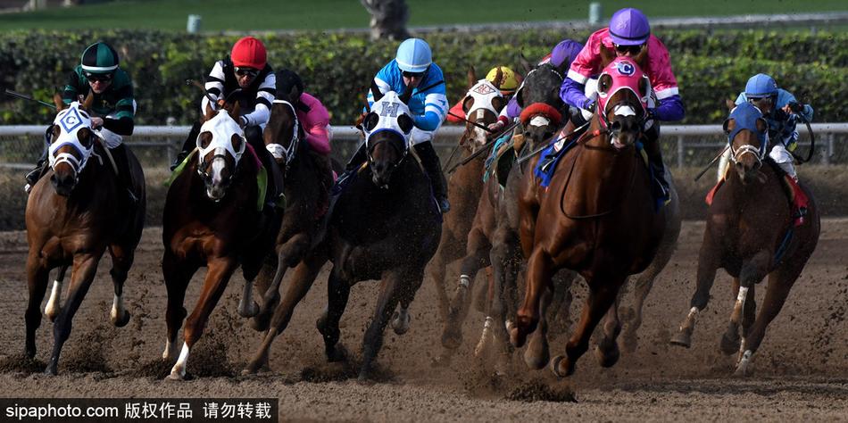 探索神秘数字组合，66O678与王中王定码四不像一肖的奥秘，揭秘神秘数字组合，66O678与王中王定码四不像一肖的奥秘探索