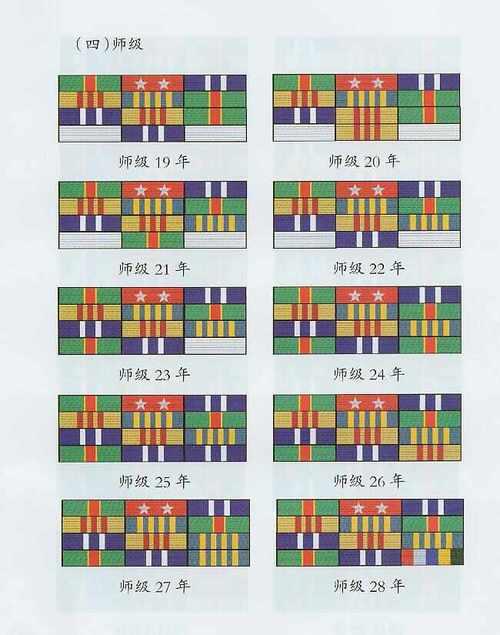 关于07式资历章的深度解读,深度解读,07式资历章详解