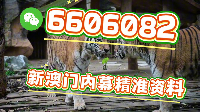 澳门今晚必开一肖一特——探索生肖彩票的魅力与预测，澳门生肖彩票探索，魅力揭秘与精准预测之夜