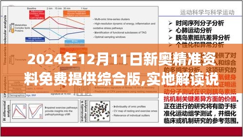 2025新奥精准资料免费大全（第078期深度解析），2025新奥精准资料免费大全（深度解析第078期）