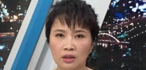 陈凤馨与海峡两岸的情缘，陈凤馨与两岸情缘深度解析