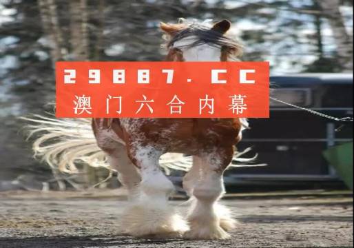 王中王论坛与平特一肖图的神秘交汇，王中王论坛与平特一肖图的交汇之谜