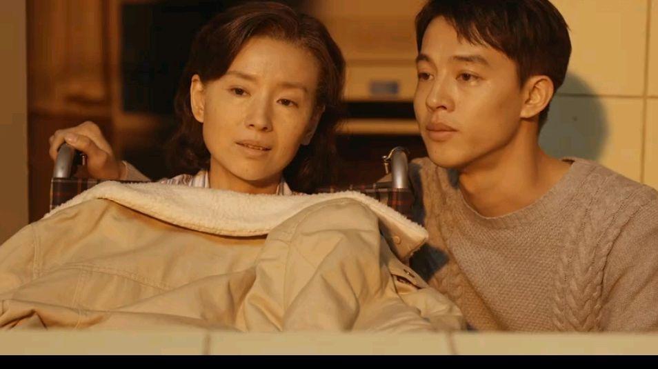 丁小军与余雅的关系探究，丁小军与余雅关系深度探究