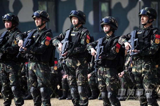 十年军旅，一位兵士的卓越之路，十年军旅生涯，兵士卓越之路的见证