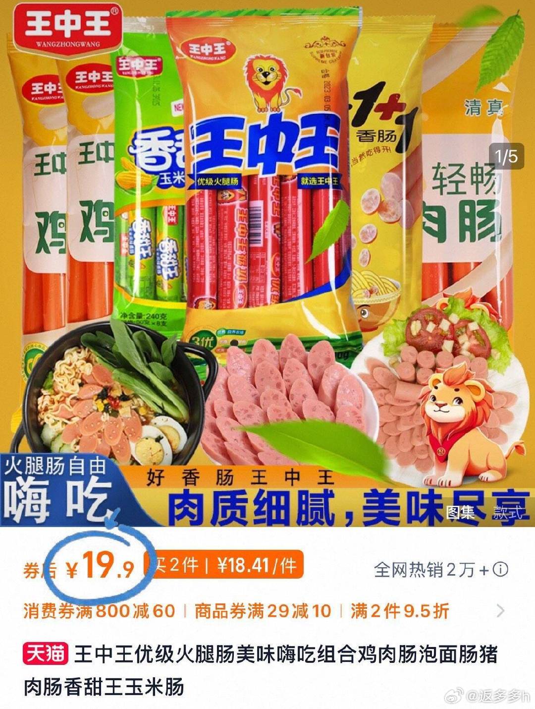 王中王资料公开一肖中特，深度解析与探讨，王中王资料揭秘，深度解析与探讨一肖中特