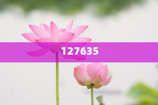 探索精准新传真，数字序列的魅力与未来展望——以7777788888为启示，数字序列的魅力，精准新传真探索与未来展望——以7777788888为启示点