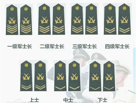 军改背景下2021年士官政策的深度解读，军改背景下2021年士官政策深度解读与分析